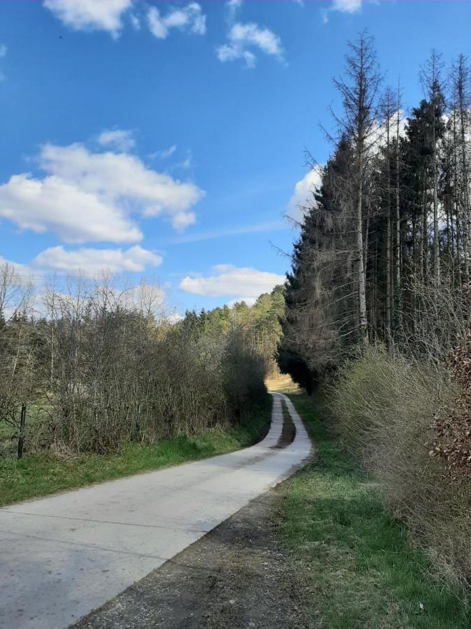 Au Coeur Des Vallees Couvin Buitenkant foto